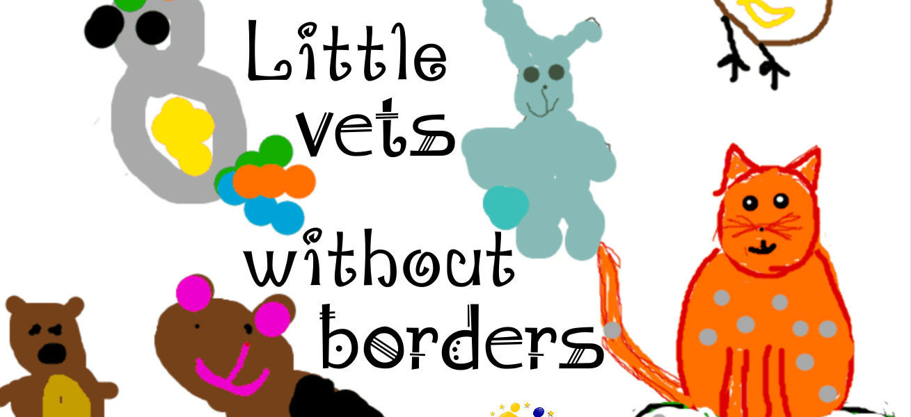 Vídeo del Premio Nacional eTwinning 2019: “Little vets without borders”