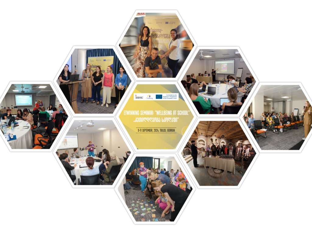 Collage de imágenes de las actividades desarrolladas durante el seminario, muestra personas en los talleres